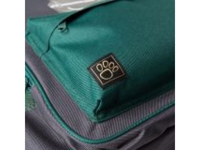Детский рюкзак Jaguar Kids Backpack, Grey/Green, артикул JDBC831GYA